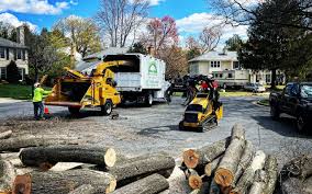 Best Aeration Services  in Belton, SC