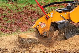 Best Lawn Maintenance Plans  in Belton, SC